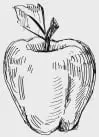 Яблука